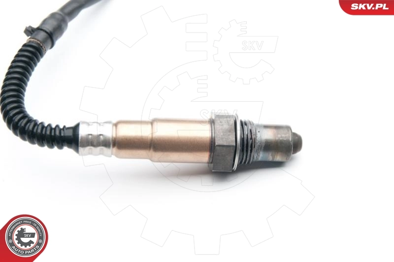 Oxygen Sensor